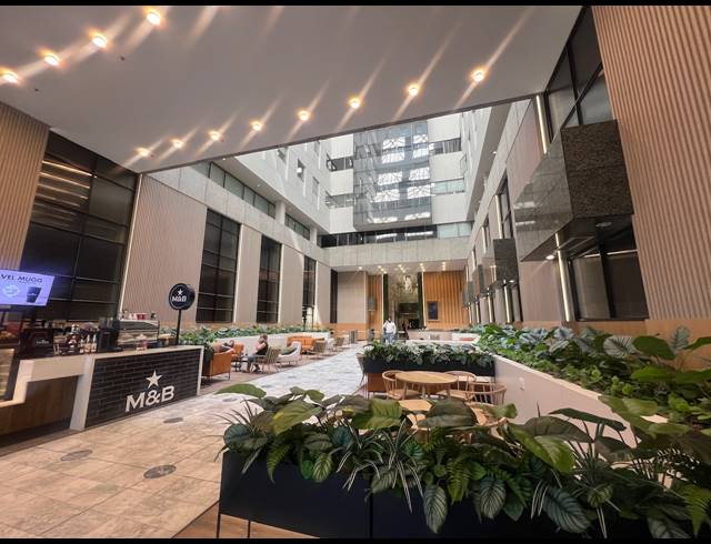 1,061M² OFFICE TO LET IN ROSEBANK